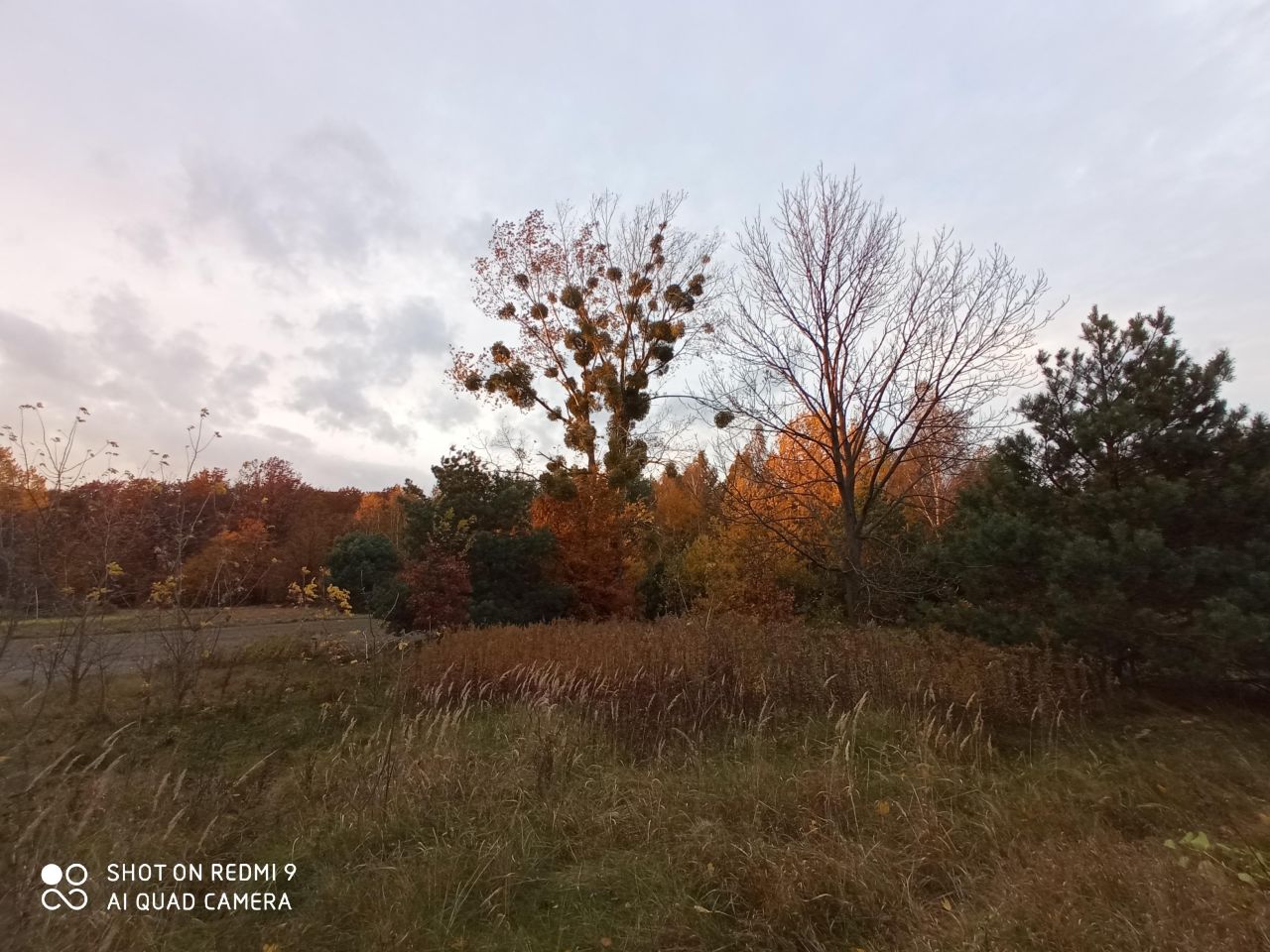 siedlisko, 1 pokój Ławeczko Stare. Zdjęcie 37
