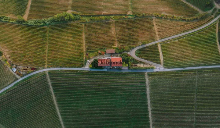 Działka siedliskowa Unisław