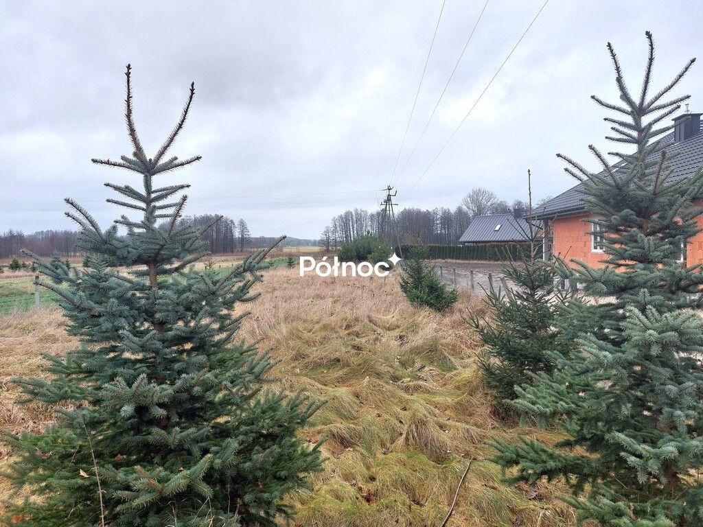 Działka Serpelice. Zdjęcie 2