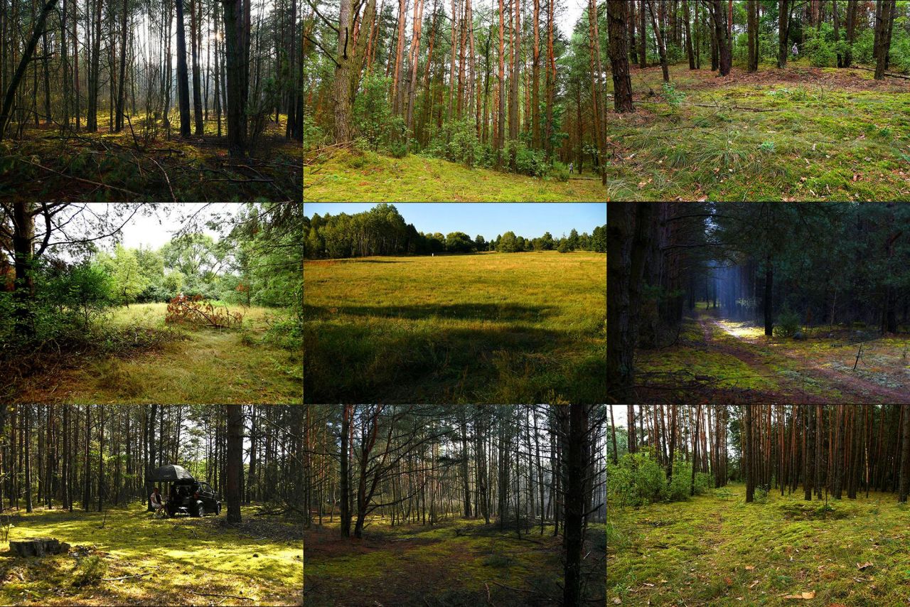 Działka budowlana Turna Duża. Zdjęcie 32