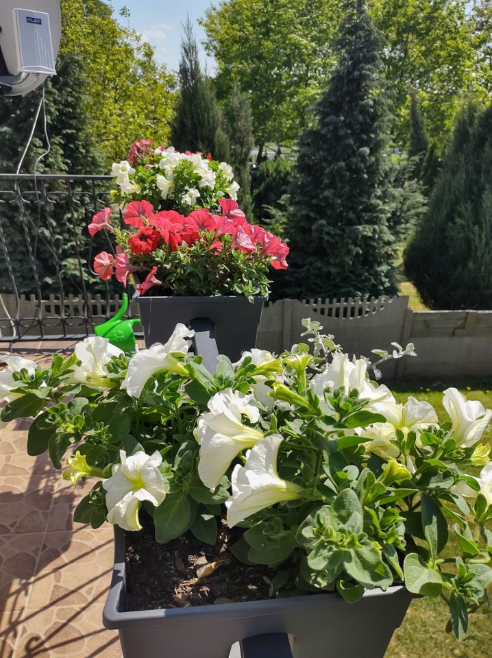 dom wolnostojący, 6 pokoi Mniów Raszówka, ul. Raszówka. Zdjęcie 16