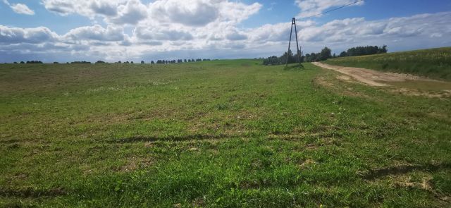 Działka rolna Łodwigowo. Zdjęcie 1