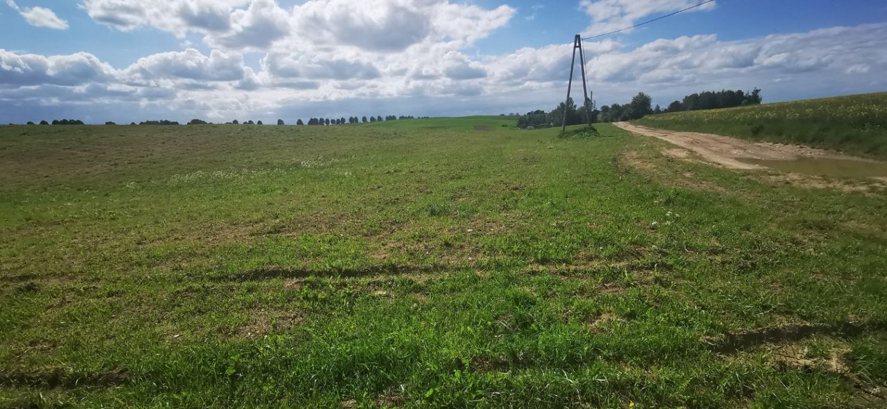 Działka rolna Łodwigowo