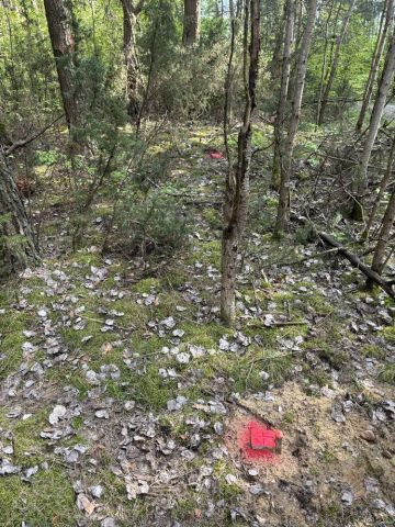 Działka leśna Siemiatycze, ul. 11 Listopada. Zdjęcie 1