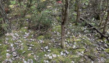 Działka leśna Siemiatycze, ul. 11 Listopada