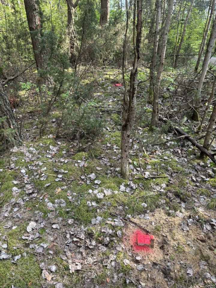 Działka leśna Siemiatycze, ul. 11 Listopada