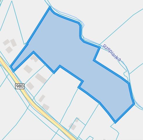 Działka rolna Rzepiennik Strzyżewski. Zdjęcie 1