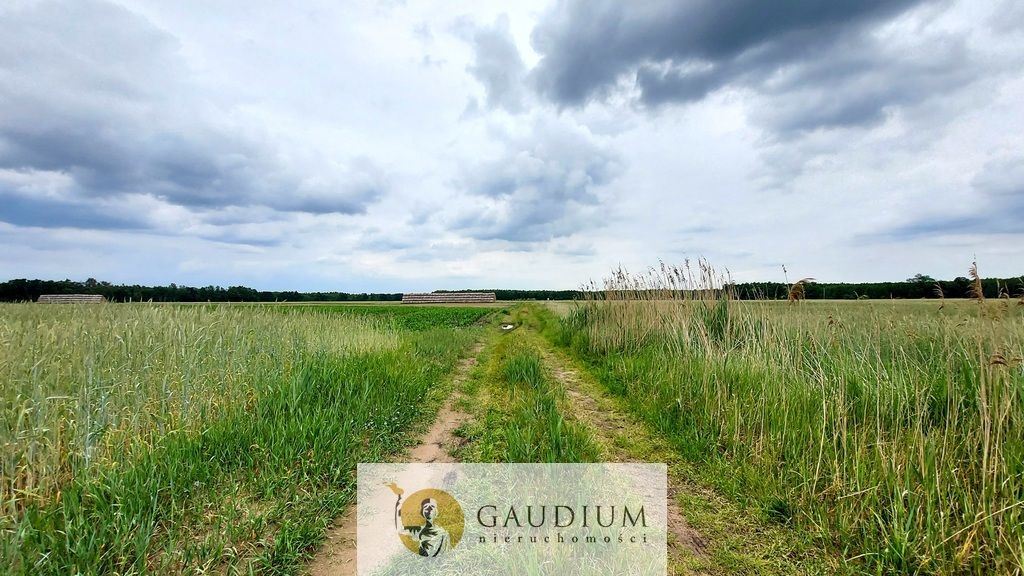 Działka Karszyn. Zdjęcie 23