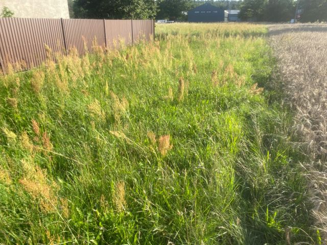 Działka budowlana Falmirowice. Zdjęcie 1