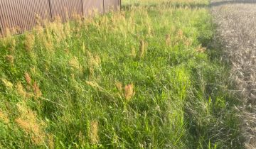 Działka budowlana Falmirowice