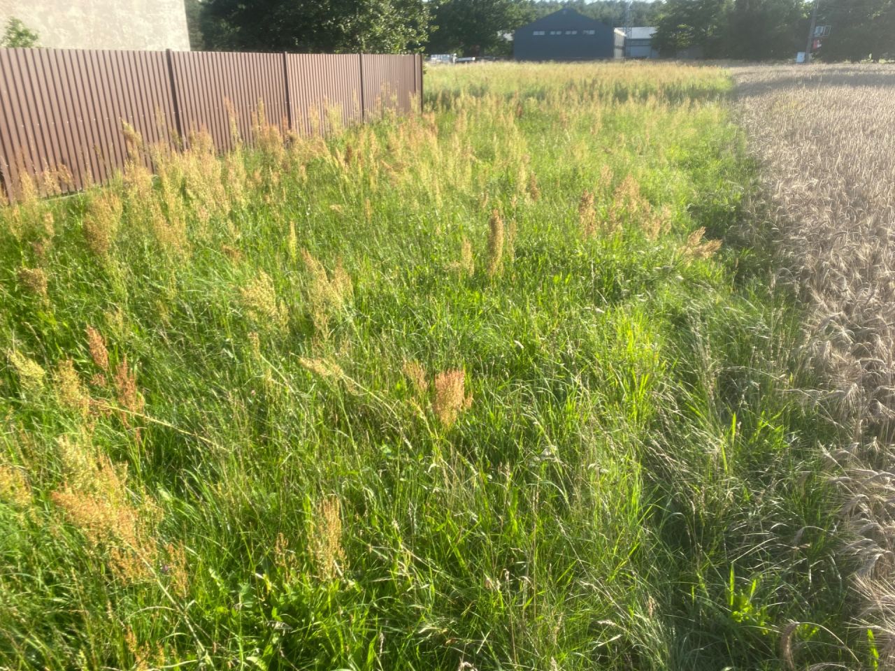 Działka budowlana Falmirowice