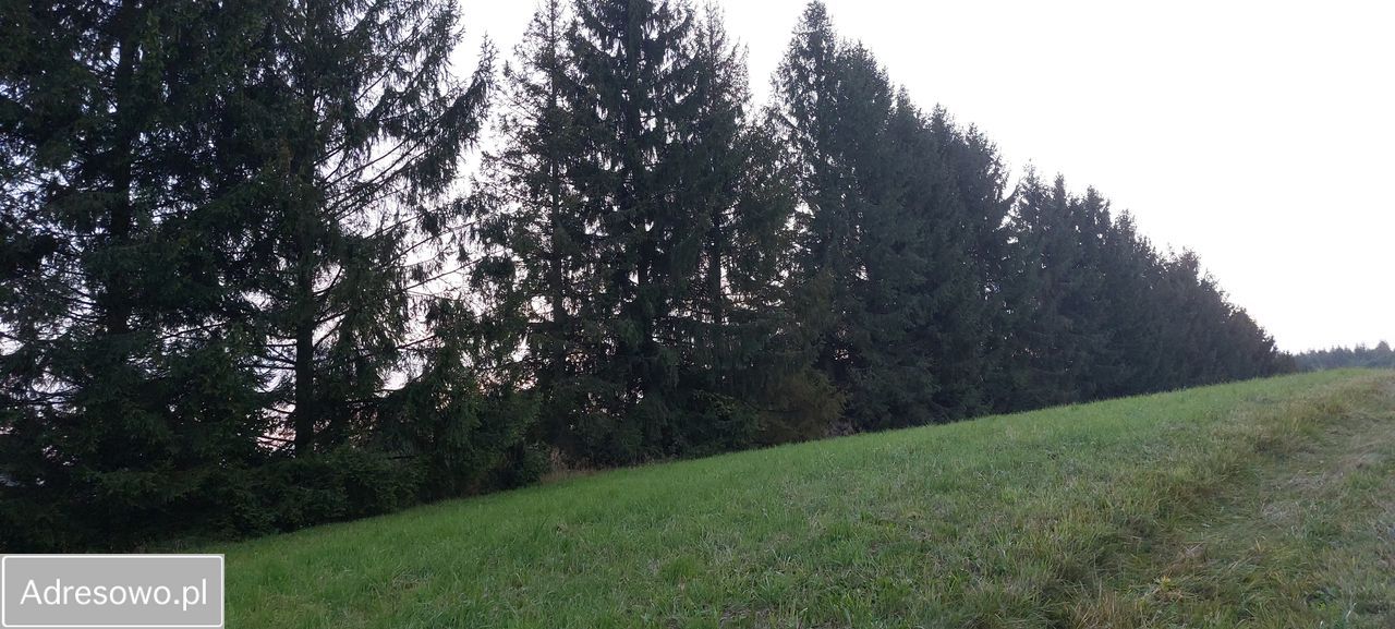 Działka budowlana Turze Pole. Zdjęcie 4