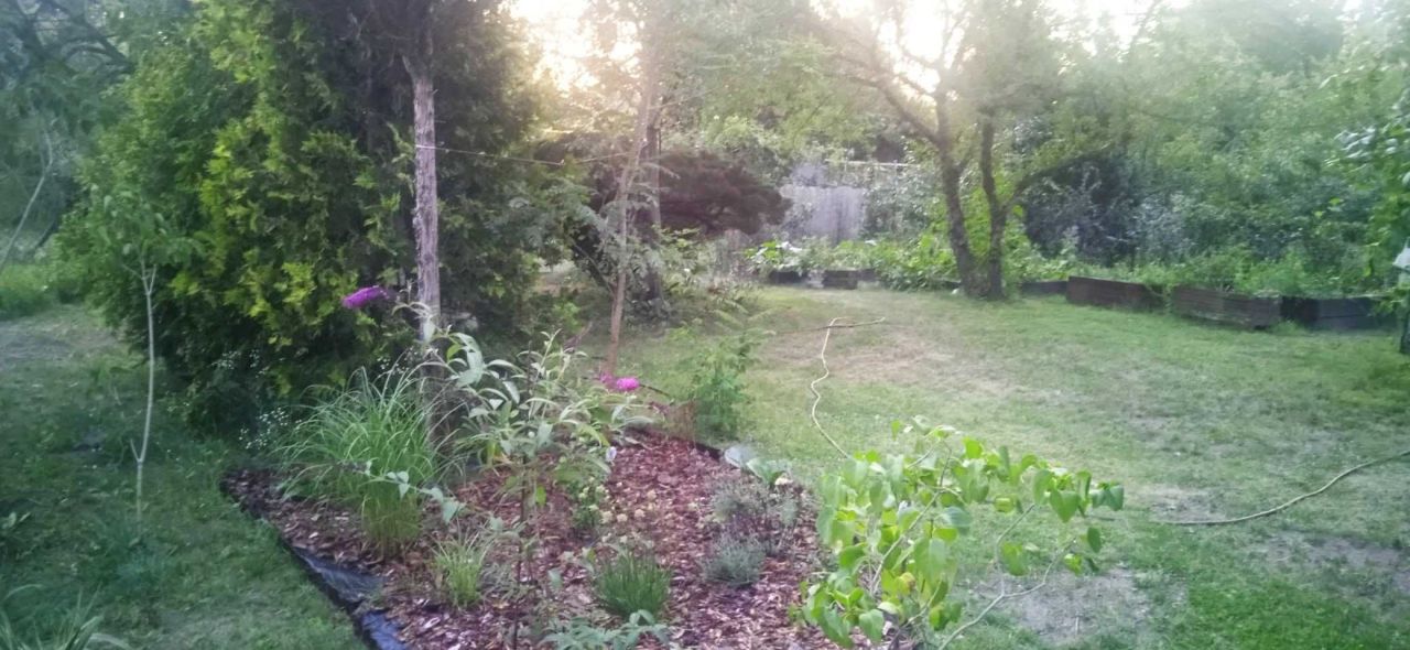 Działka rod Warszawa Wawer. Zdjęcie 6