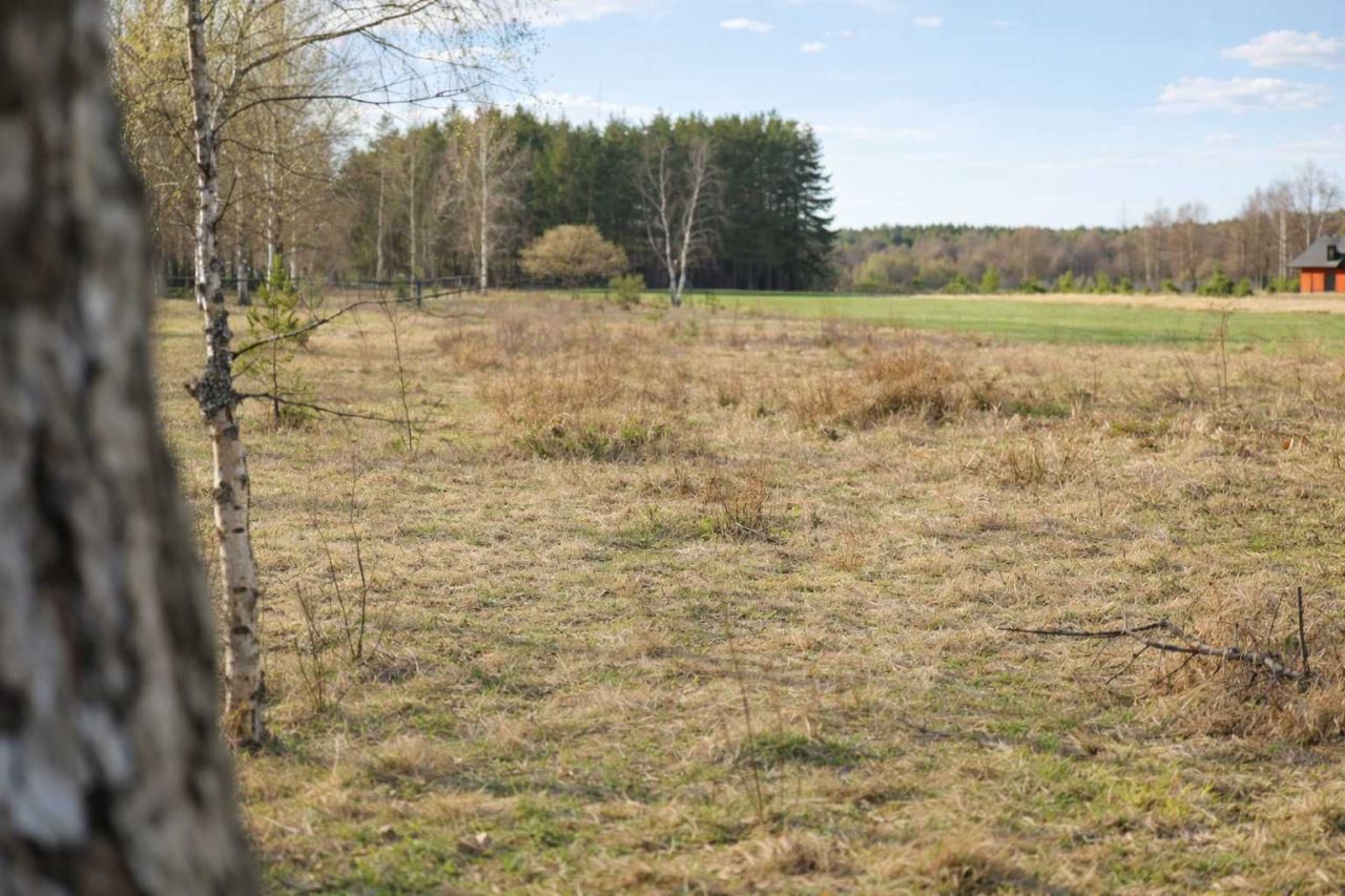 Działka rekreacyjna Szarłat. Zdjęcie 5