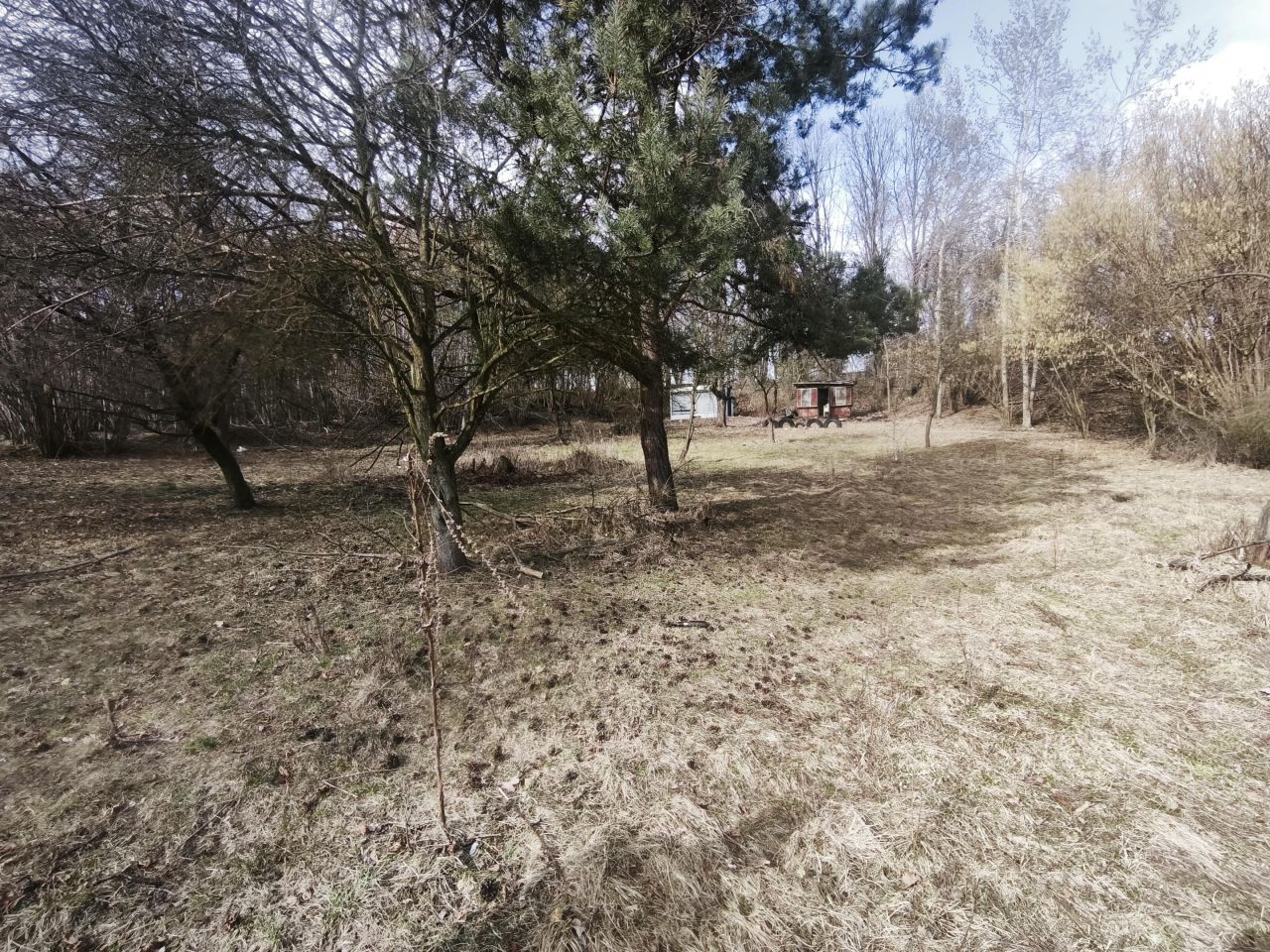 Działka rolna Chrzanów Kąty, ul. Bracka. Zdjęcie 19