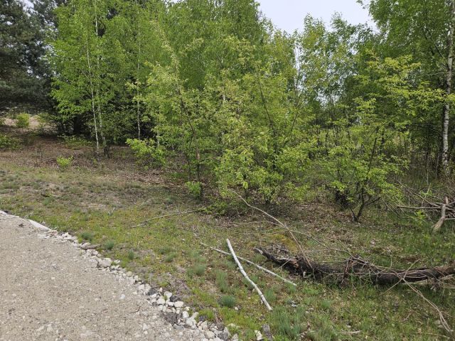 Działka budowlana Kąck. Zdjęcie 7