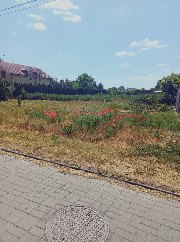 Działka budowlana Kruszwica. Zdjęcie 1