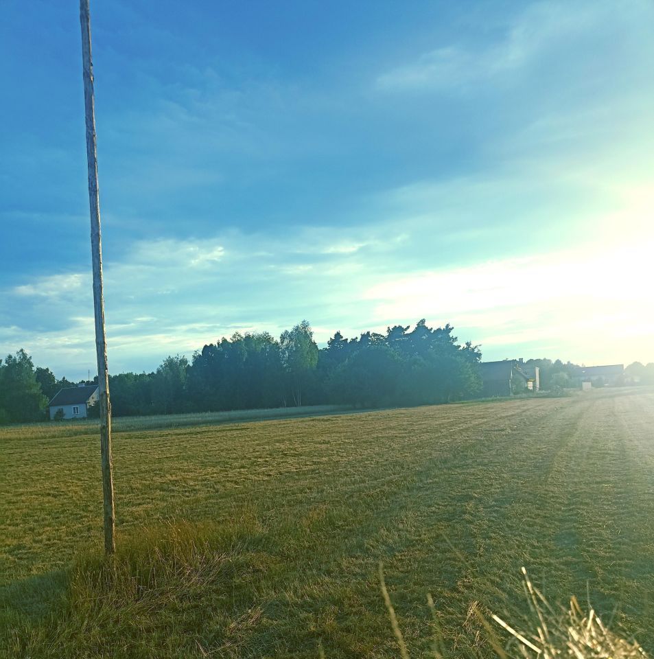 Działka budowlana Kaliska. Zdjęcie 2