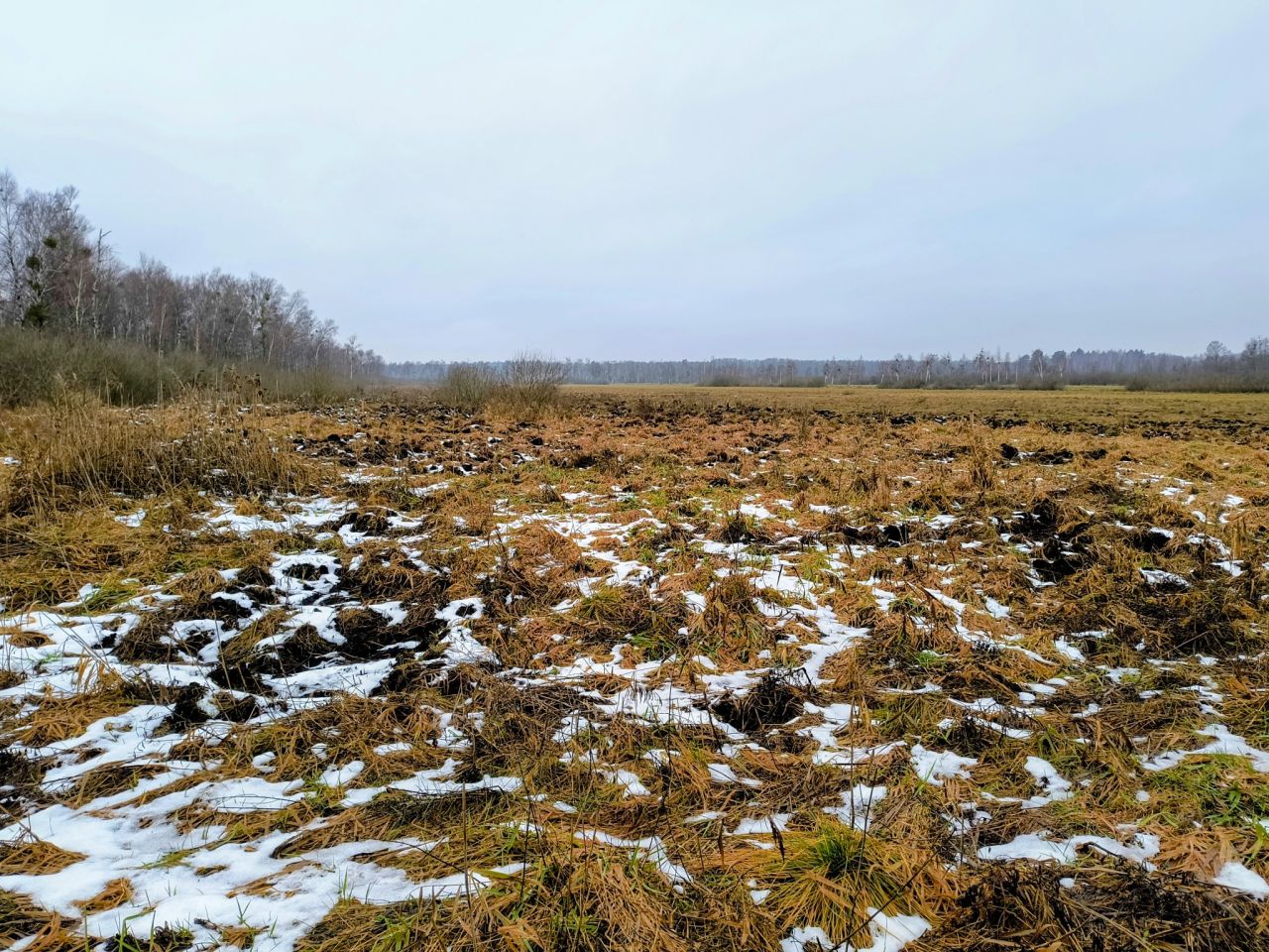 Działka rolna Karwik. Zdjęcie 4