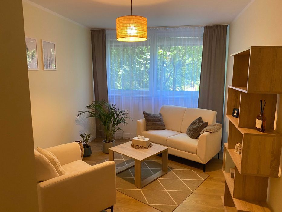 Lokal Wrocław Stare Miasto. Zdjęcie 8