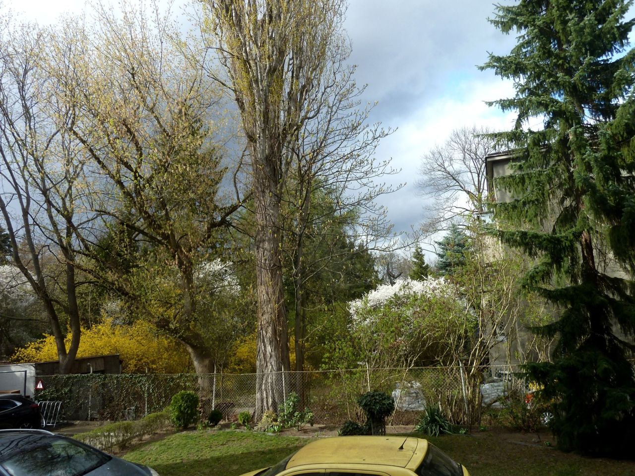 Mieszkanie 2-pokojowe Warszawa Żoliborz, ul. Stefana Czarnieckiego. Zdjęcie 16