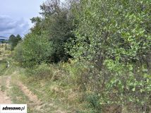 Działka rolna Rybarzowice. Zdjęcie 4
