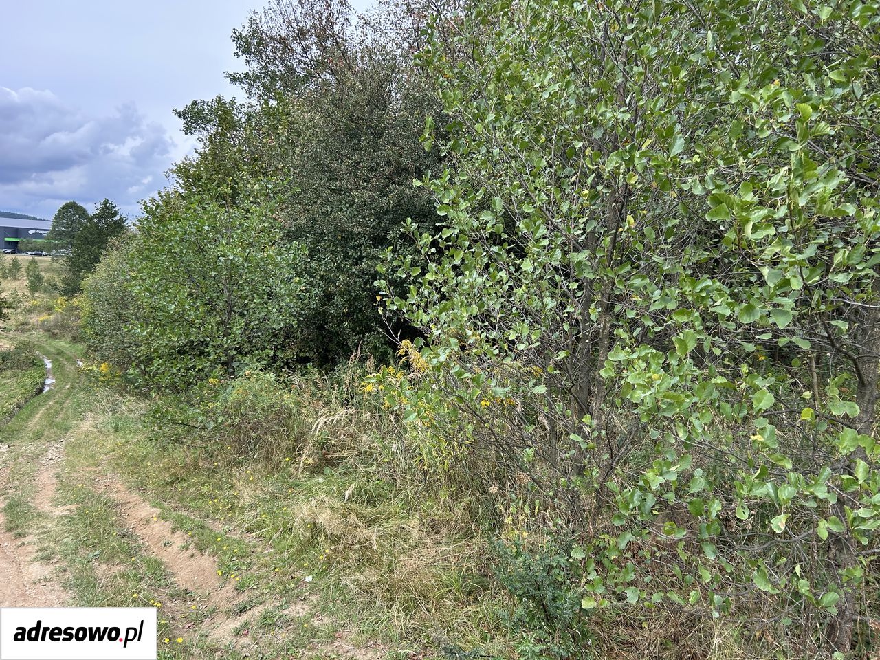 Działka rolna Rybarzowice. Zdjęcie 5