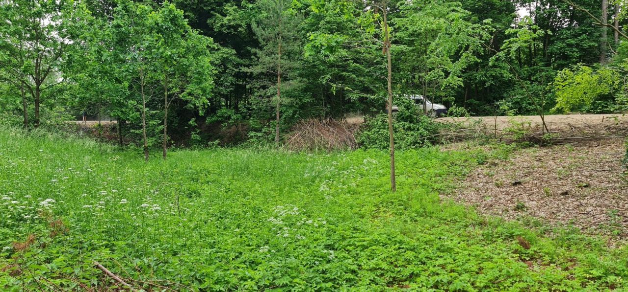 Działka budowlana Kajny. Zdjęcie 5