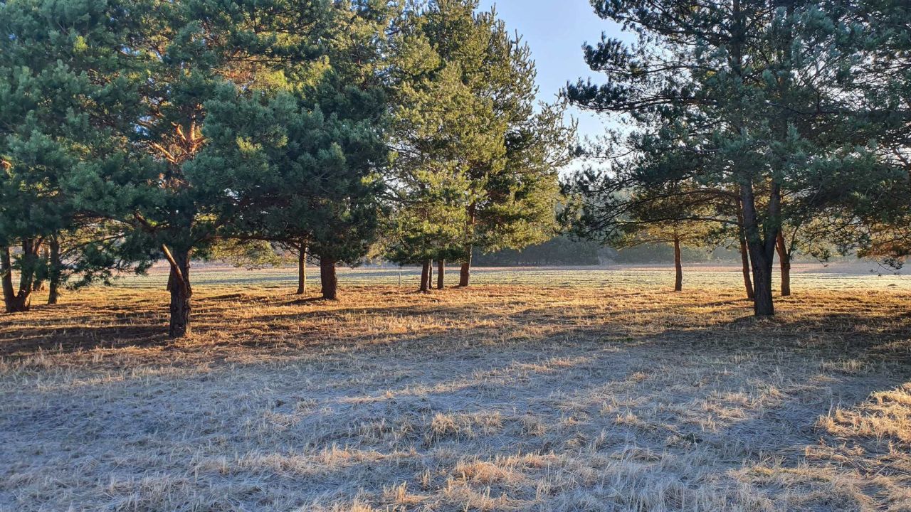 Działka budowlana Skarbka Bidzińszczyzna. Zdjęcie 5
