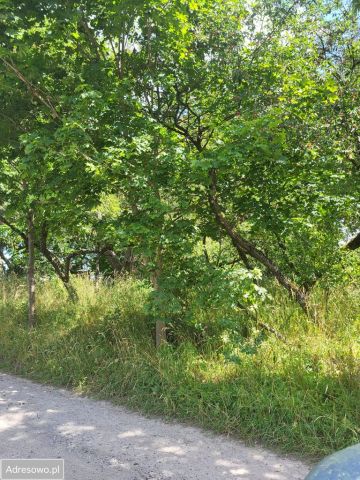 Działka rolna Pożarki. Zdjęcie 1