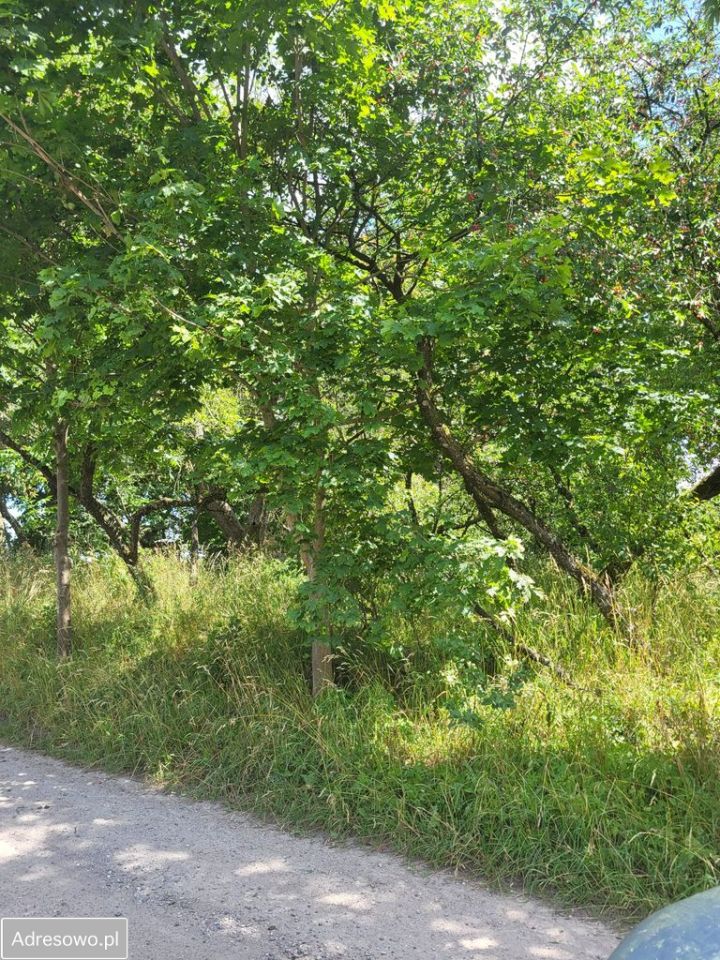 Działka rolna Pożarki