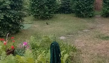 Działka rekreacyjna Sierosław