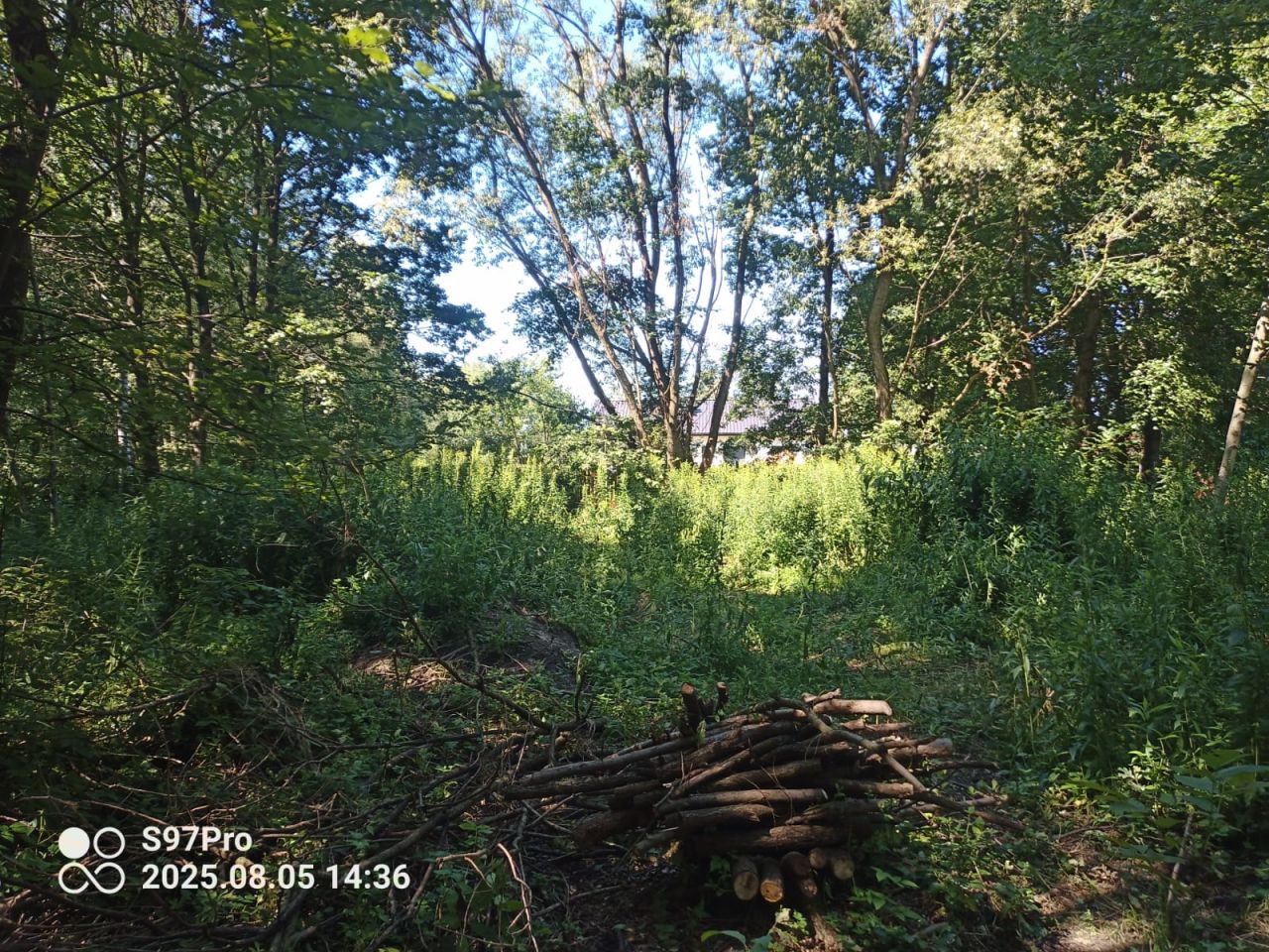 Działka rolno-budowlana Wola Rzędzińska. Zdjęcie 7