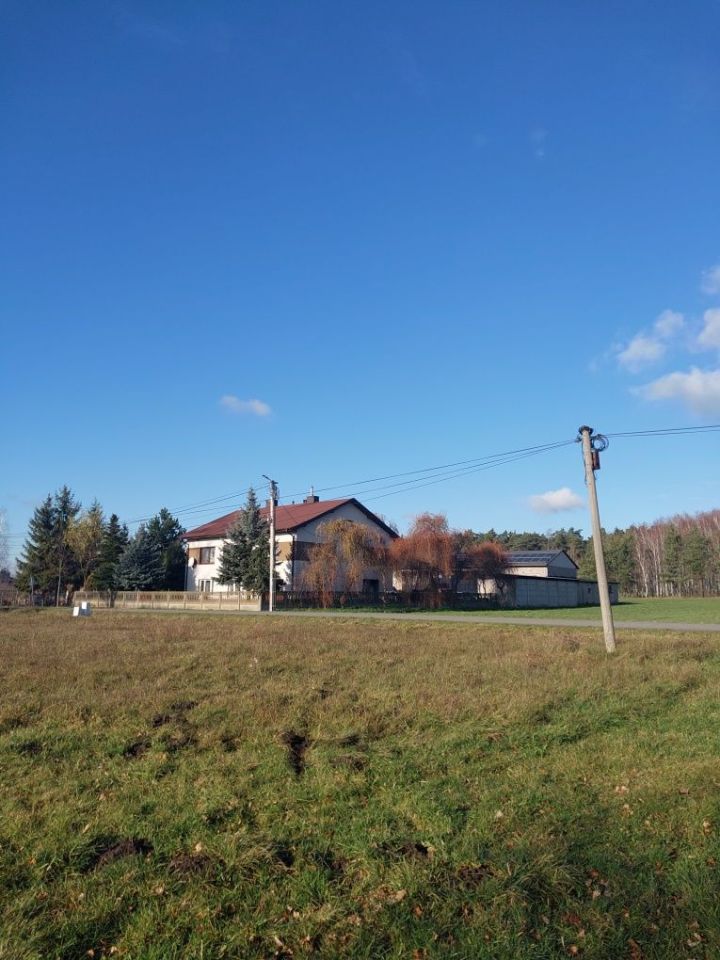 Działka rolno-budowlana Dobra. Zdjęcie 3