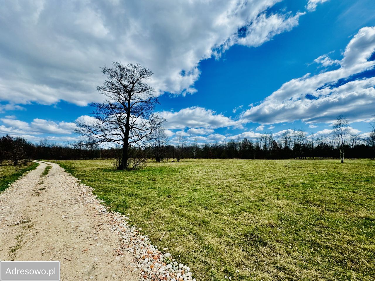 Działka Gać. Zdjęcie 3