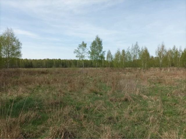 Działka Joachimów-Mogiły. Zdjęcie 1