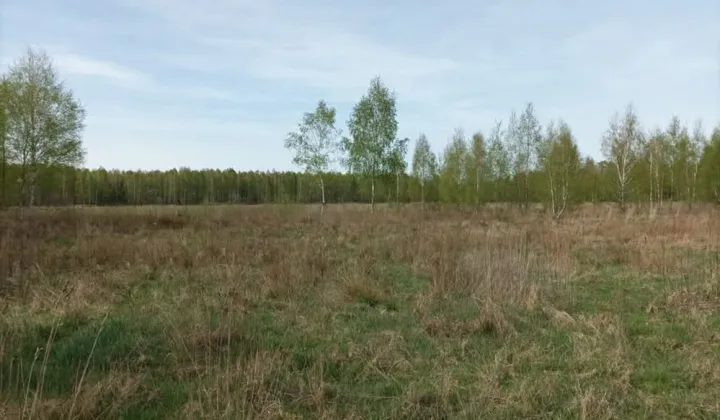 Działka Joachimów-Mogiły