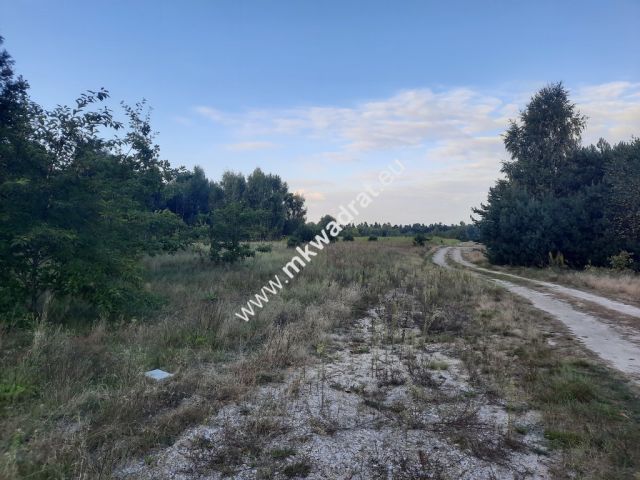 Działka budowlana Pieńki Zarębskie. Zdjęcie 4