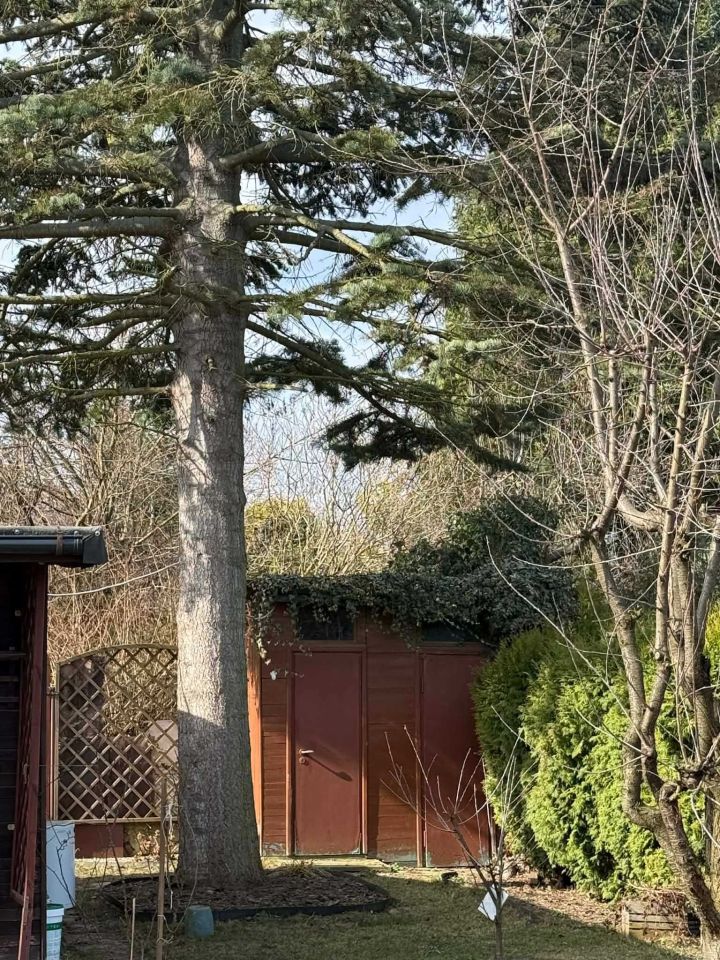 Działka rod Warszawa Siekierki. Zdjęcie 8