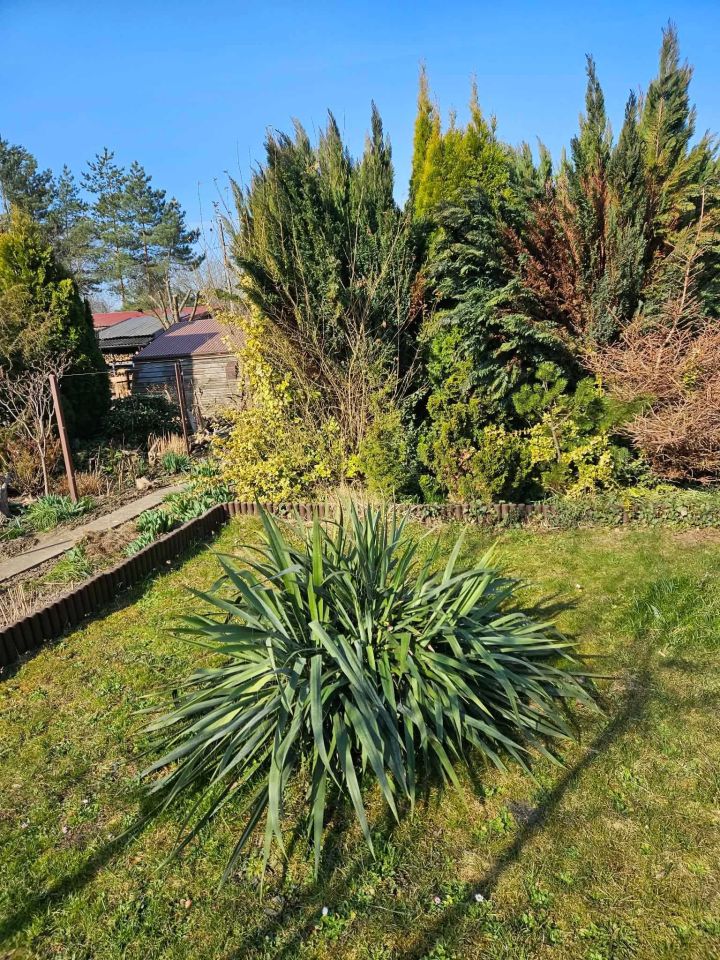 Działka rod Rzeszów, ul. Ciepłownicza. Zdjęcie 5