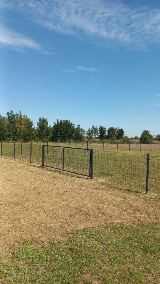 Działka rekreacyjna Kantorowice. Zdjęcie 5