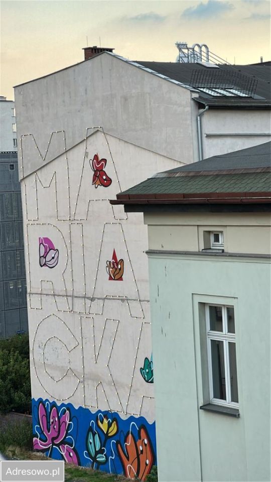 Mieszkanie 1-pokojowe Katowice Śródmieście, ul. Francuska. Zdjęcie 2