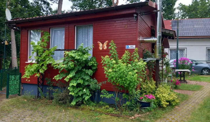 dom letniskowy, 2 pokoje Torzym Leśna, Kolonia Leśna