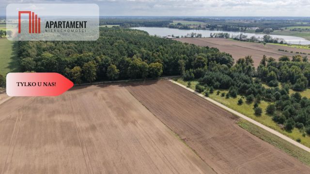 Działka rolna Grabowiec. Zdjęcie 6
