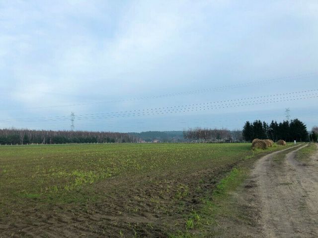 Działka rolna Kobylanka. Zdjęcie 1