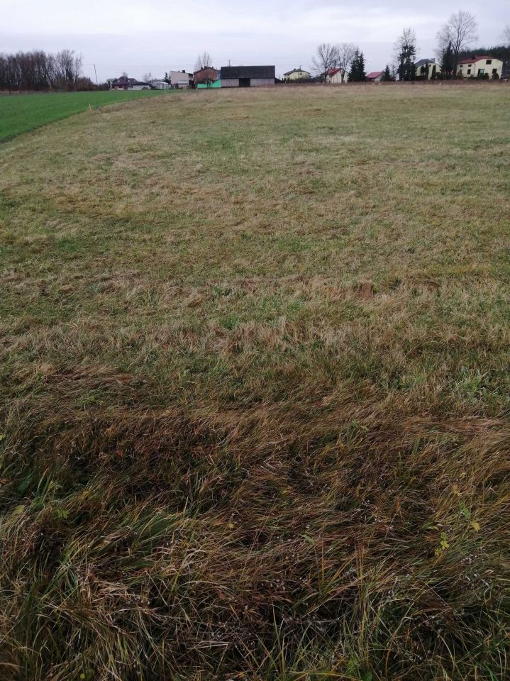 Działka budowlana Brzezie. Zdjęcie 5