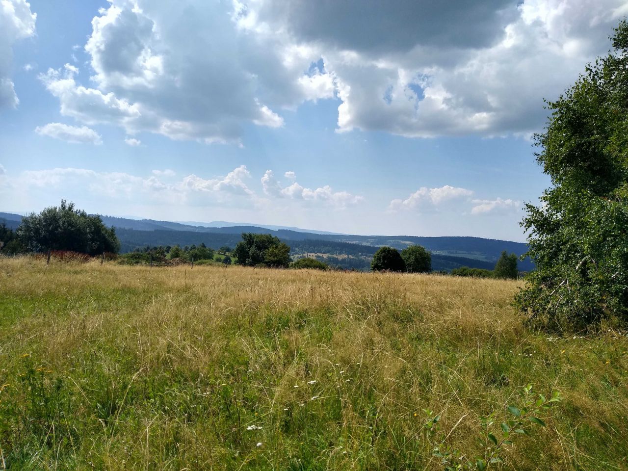 Działka Sierpnica. Zdjęcie 3