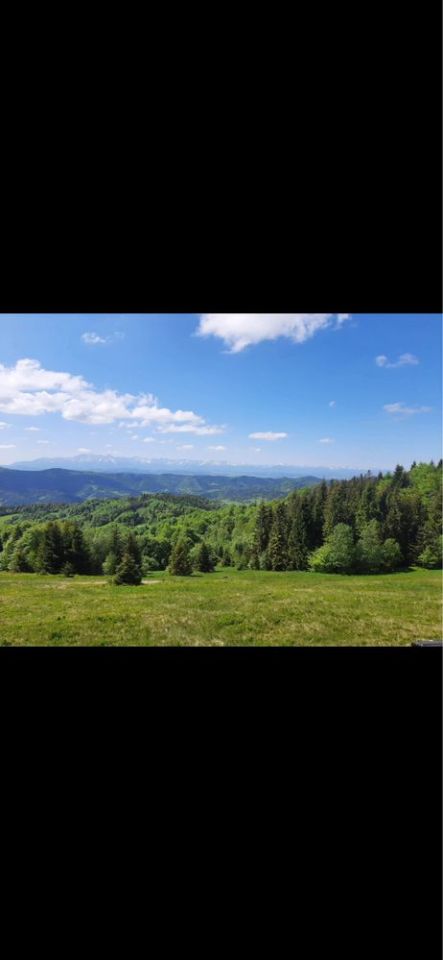 Działka rolna Ochotnica Górna. Zdjęcie 5