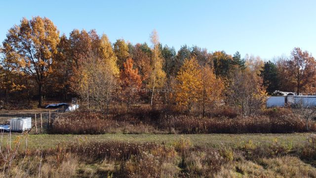 Działka budowlana Stasi Las. Zdjęcie 6