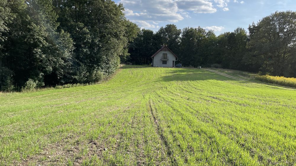 Działka budowlana Lwówek Śląski, ul. Widokowa. Zdjęcie 3